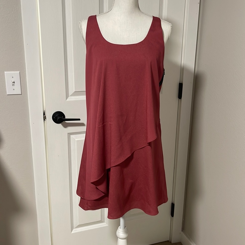 Naked Zebra Mauve Dress